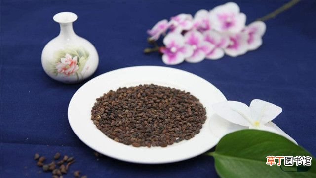 坤宝丸的功效与作用  长期服用有副作用吗？