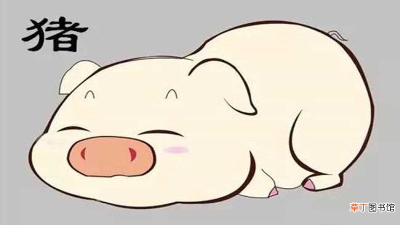 九五年属什么多大