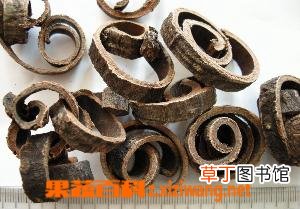 白术有哪些功效与作用