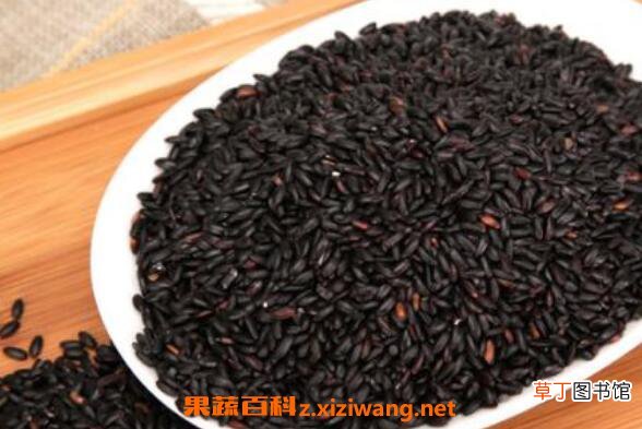 黑米的功效与作用 黑米的吃法
