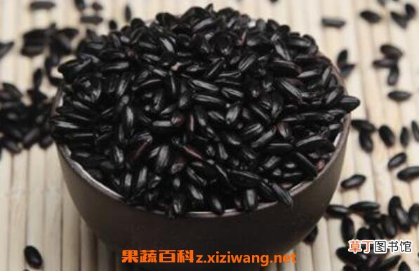 黑米的功效与作用 黑米的吃法