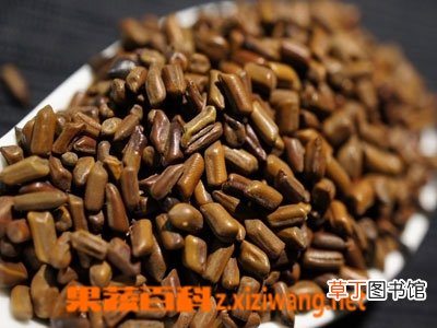 决明子泡水喝的功效和好处