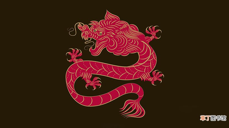 龙与龙相配吗