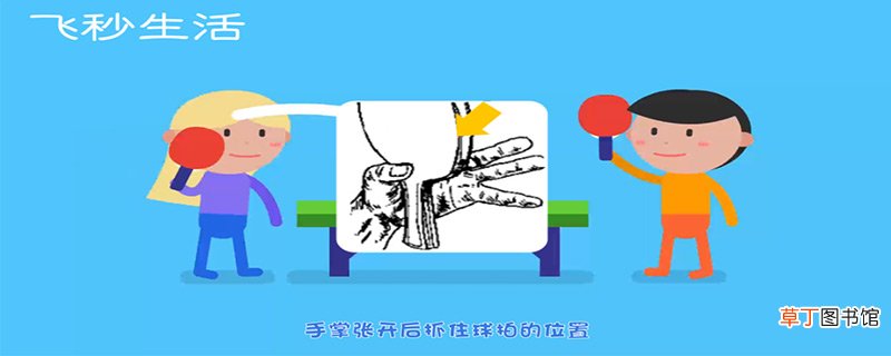 乒乓球握拍正确动作