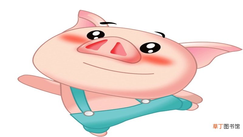 土猪年五行缺什么