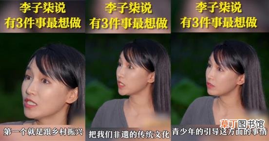 表示有3件事最想做是那三件呢 李子柒停更3月后上央视专访