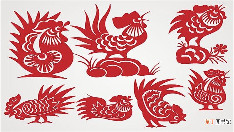 鼠和鸡合不合