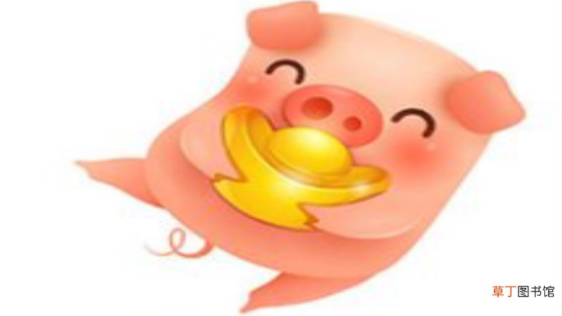 属猪2016年运势及运程