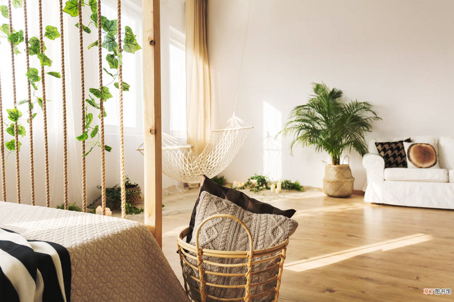 什么花可以用复合肥