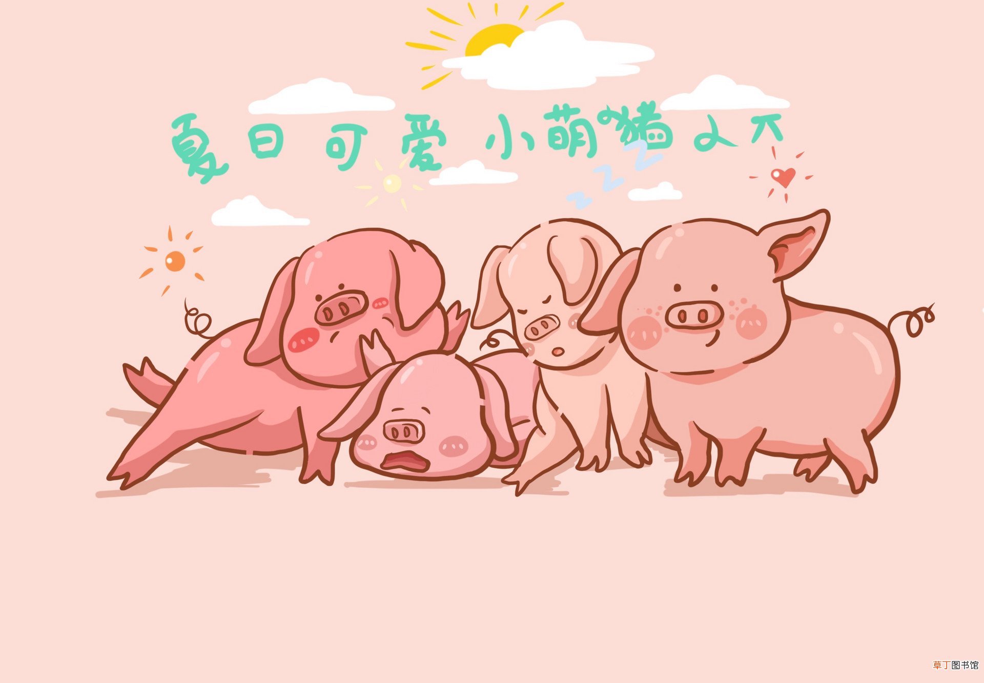 猪和兔相配吗