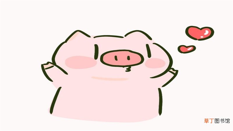 本命年猪的运势