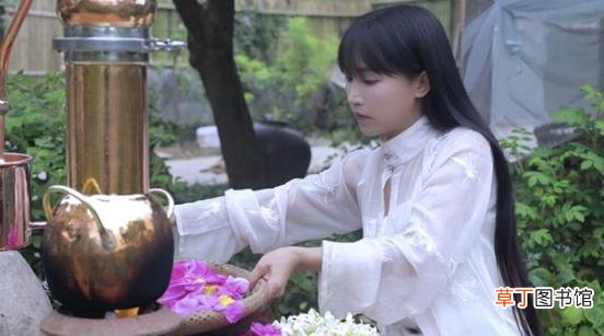 李子柒个人资料背景介绍 李子柒以后会不会更新视频了
