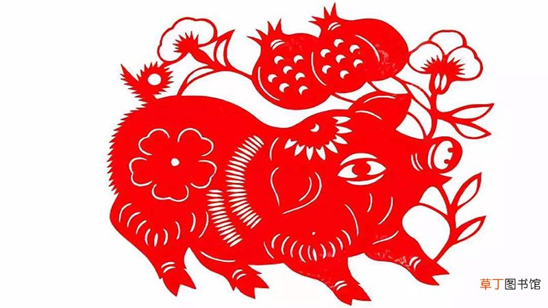 2019属猪运势
