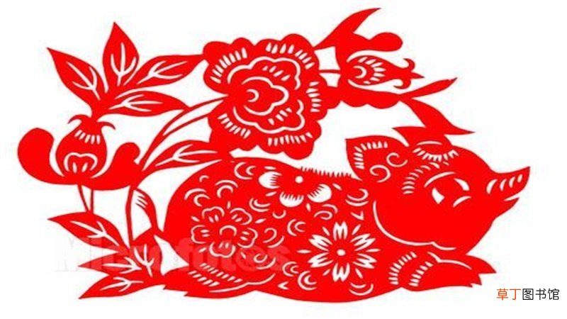 属猴与属猪合不合