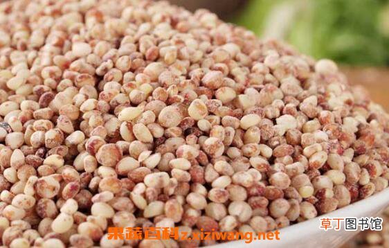 高粱米怎么吃 高粱米的食用方法