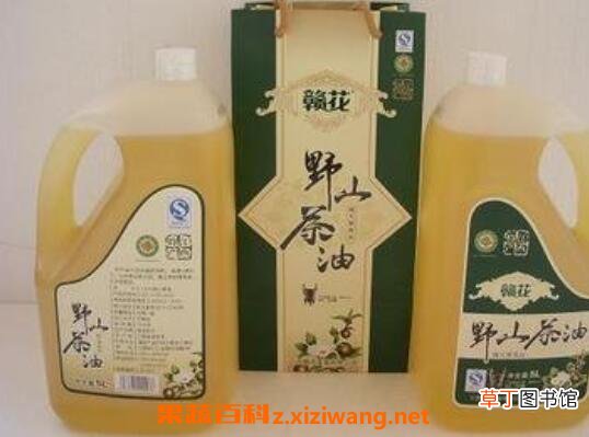 山茶花 野生山茶的功效与作用