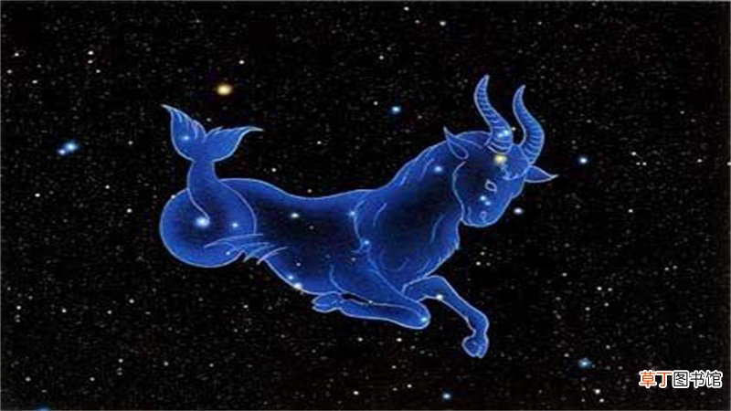 哪个星座能驾驭摩羯座