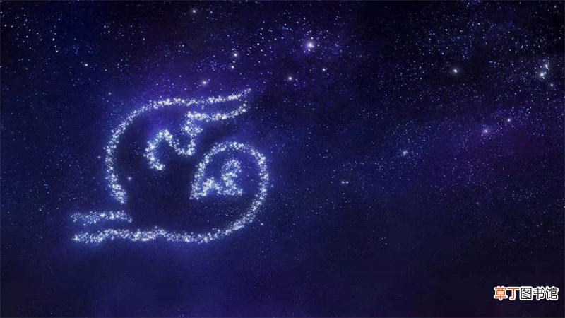 哪个星座能驾驭摩羯座