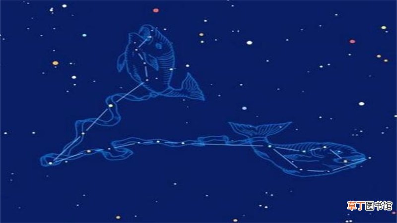 巨蟹男眼中的双鱼女什么样