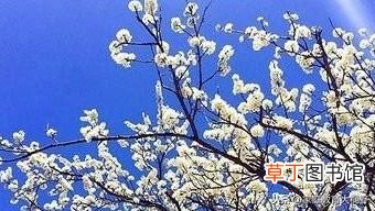 代沟的解决方法有哪些 家长怎么解决与子女间的代沟？