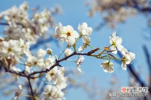 代沟的解决方法有哪些 家长怎么解决与子女间的代沟？