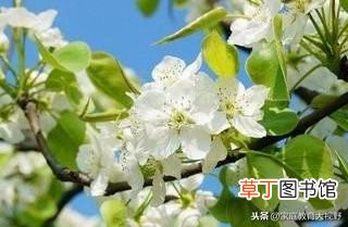 代沟的解决方法有哪些 家长怎么解决与子女间的代沟？