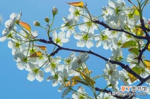 代沟的解决方法有哪些 家长怎么解决与子女间的代沟？