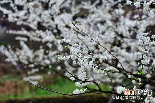 代沟的解决方法有哪些 家长怎么解决与子女间的代沟？