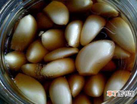腊八蒜用什么醋好 腌制腊八蒜，用米醋还是陈醋？