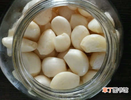 腊八蒜用什么醋好 腌制腊八蒜，用米醋还是陈醋？