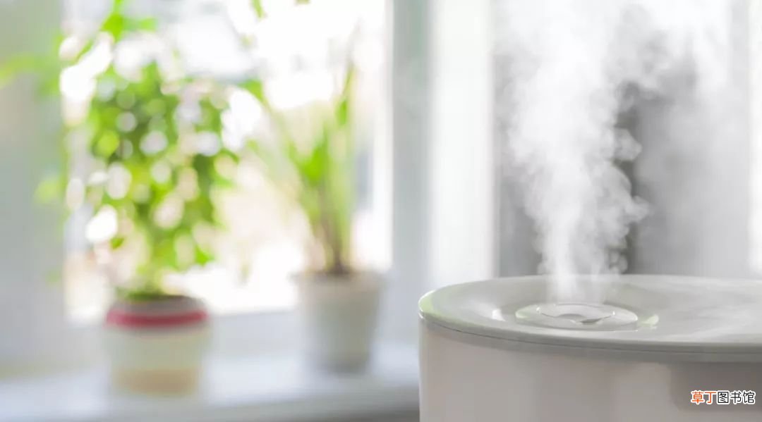 肌肤如何补水 3 个超实用的皮肤补水方法！