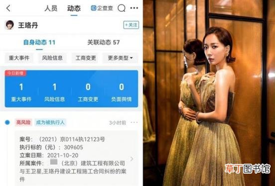 拖欠9年的背后真相是什么 王珞丹拖欠工程款被强制执行