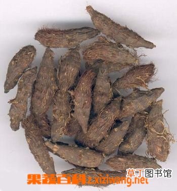 香附的功效与药用作用
