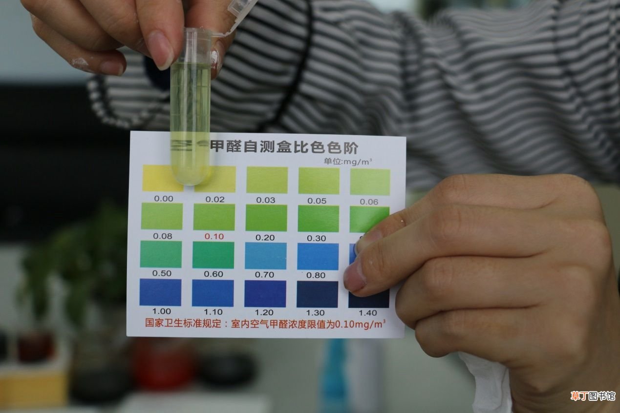 快速除甲醛 这样做可以快速除甲醛