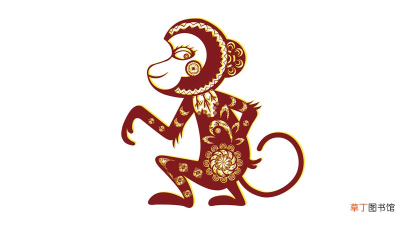 属牛和属猴合不合