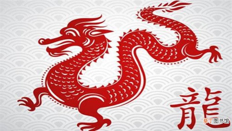 马和龙相配吗