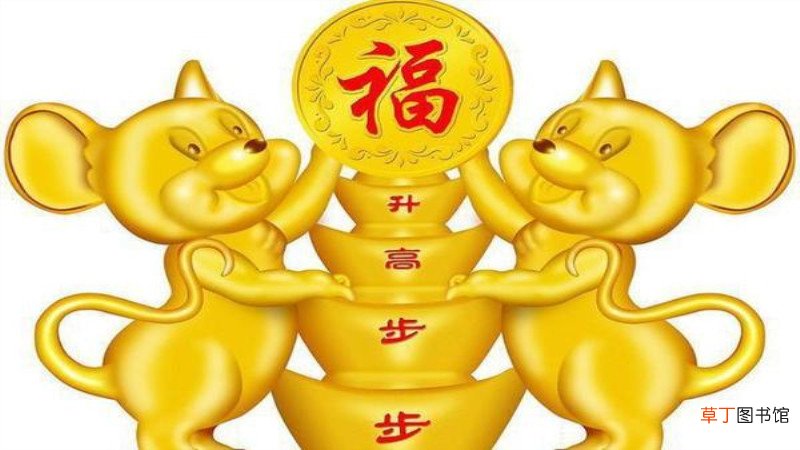 鼠虎相配吗