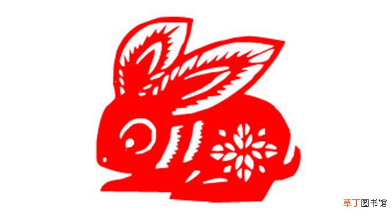 两个属兔的人在一起合适吗