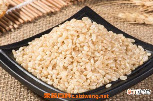 糙米怎么吃 糙米的食用方法