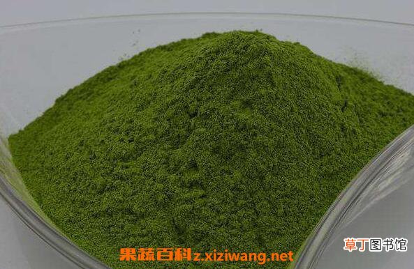 大麦苗粉的功效与作用有哪些