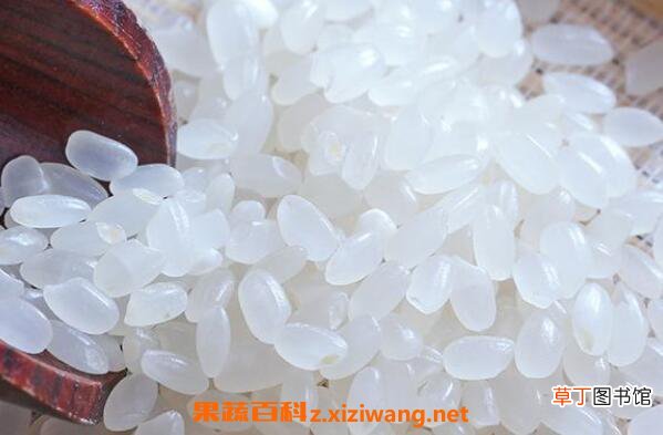 香米和粳米的区别 香米和粳米哪个好