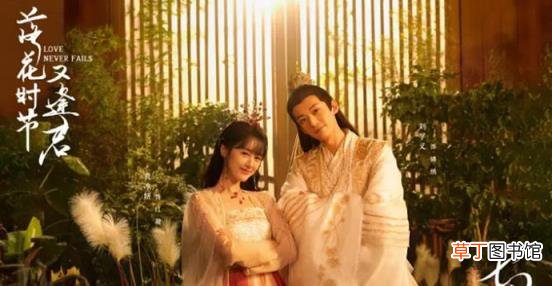 演员都有谁 落花时节又逢君定档时间官宣了吗