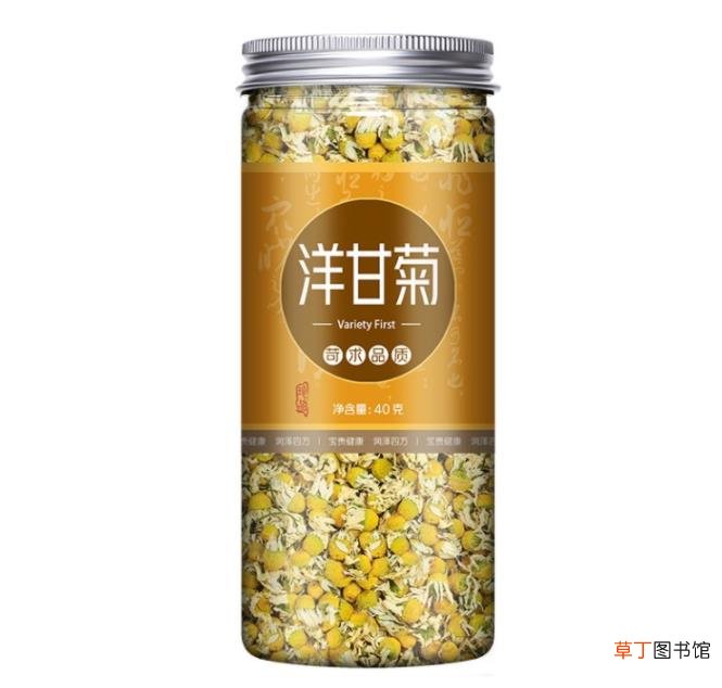 德国洋甘菊和罗马洋甘菊的区别
