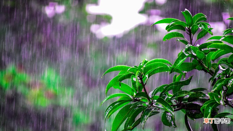 梦见下雨涨水什么意思