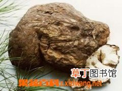 茯苓的功效与药用作用