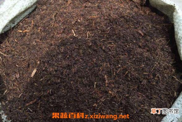 营养土如何做 营养土的制作方法