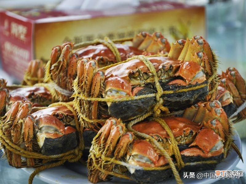 阳澄湖在哪里哪个省的 苏州阳澄湖简介