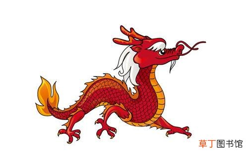 属龙和虎能一起合作