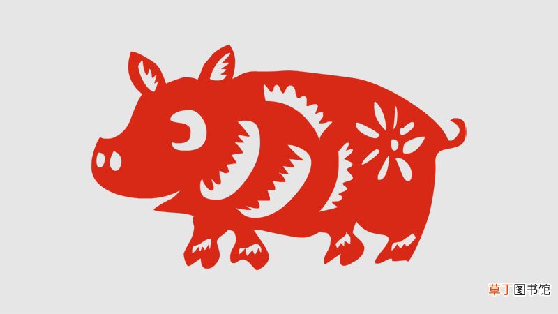属猪的人今年多少岁