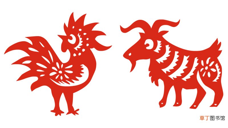 属羊和属鸡属相合不合